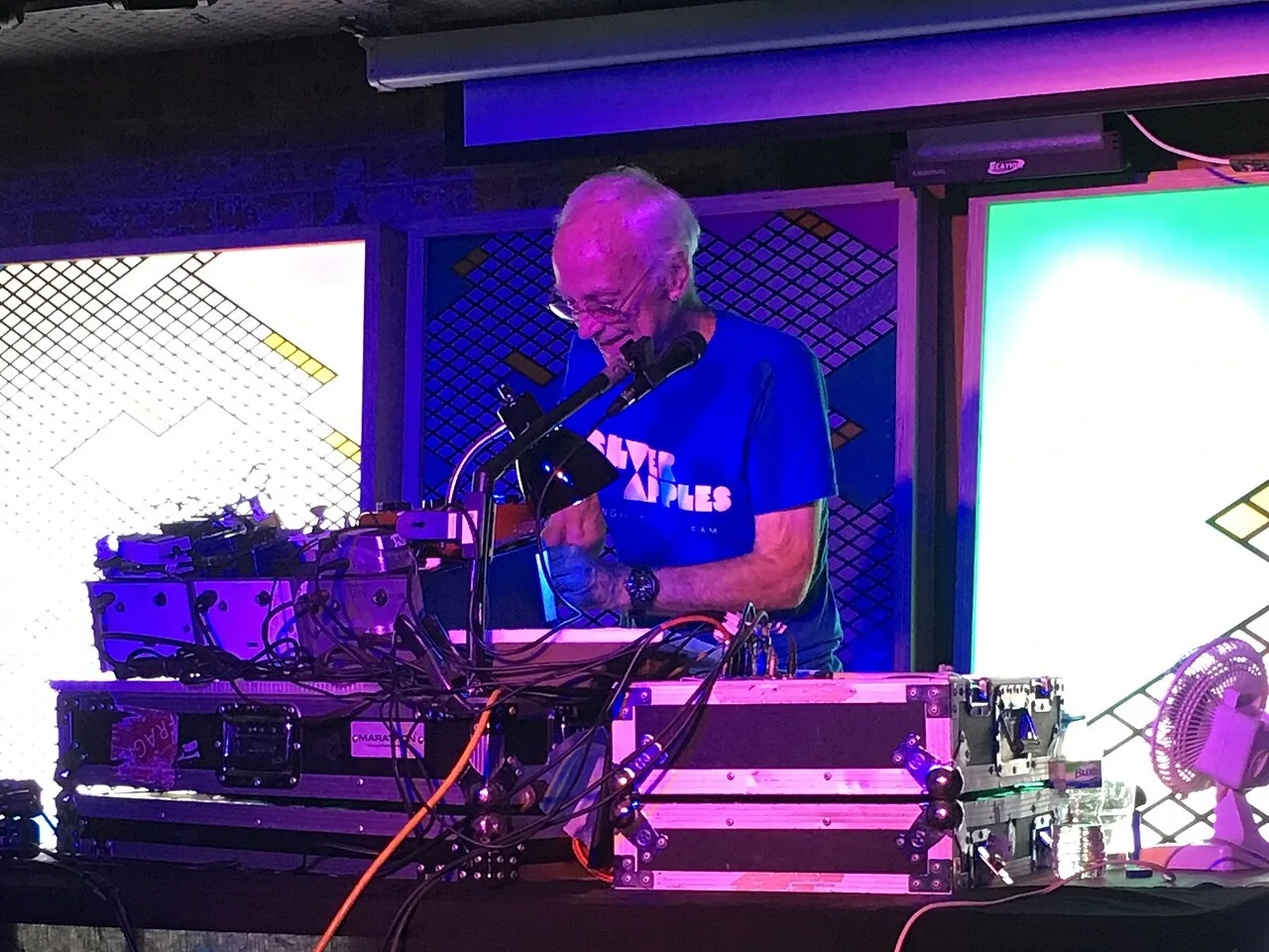 Silver Apples — licensed photograph