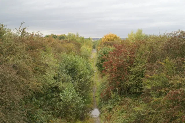 Former Bickershaw Colliery railway line