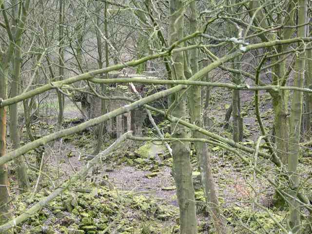 The former works landscape at Deeply Vale