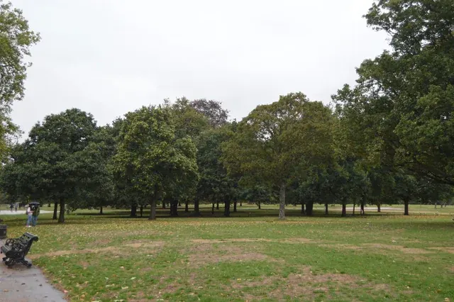 Open grass and mature trees in Hyde Park, London