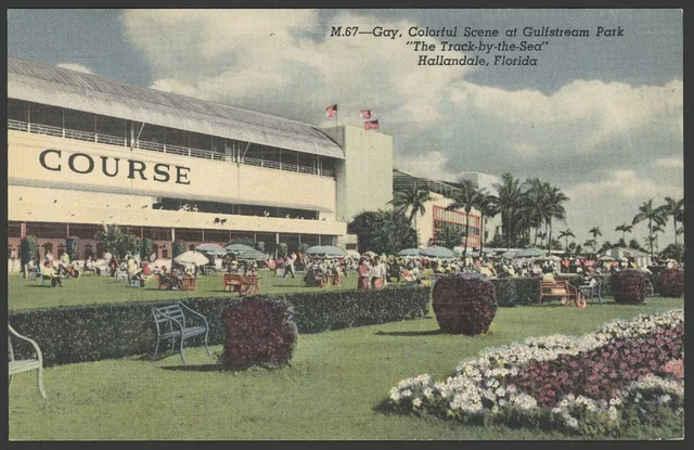 Historical colour postcard showing a crowd at Gulfstream Park