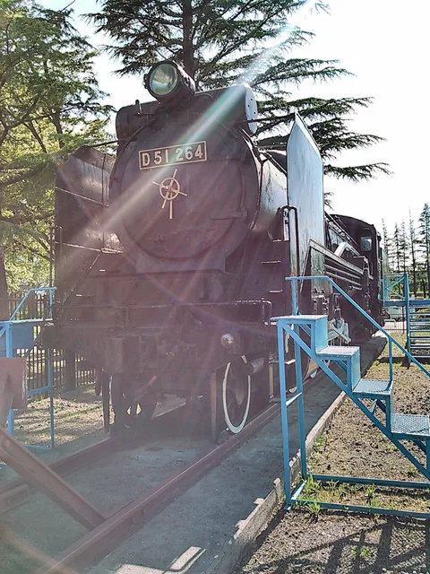 A preserved steam locomotive in Kaiseizan Park