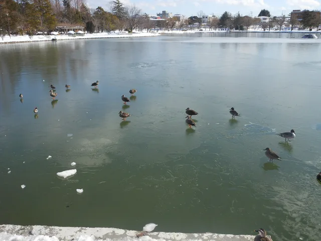 Lake Isuzu in Kaiseizan Park
