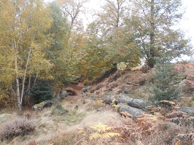 Caesar's Camp in Bracknell Forest