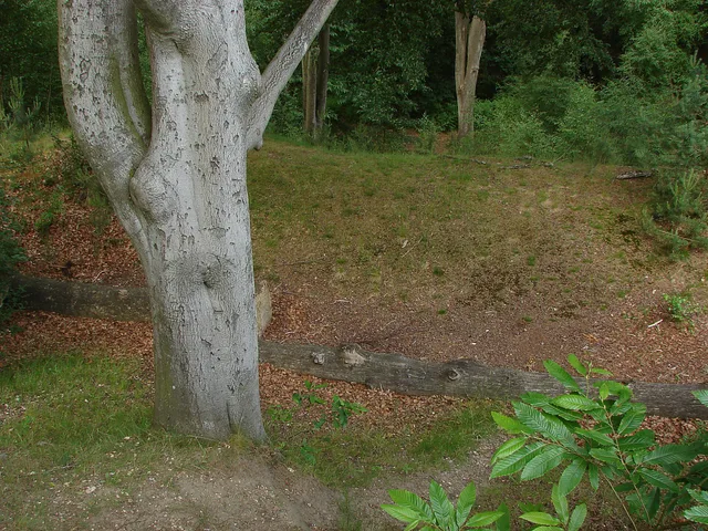 Earthworks at Caesar's Camp