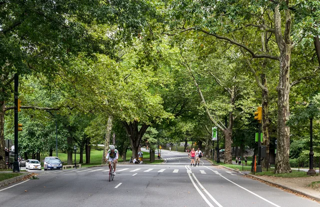 A later view in Central Park, New York