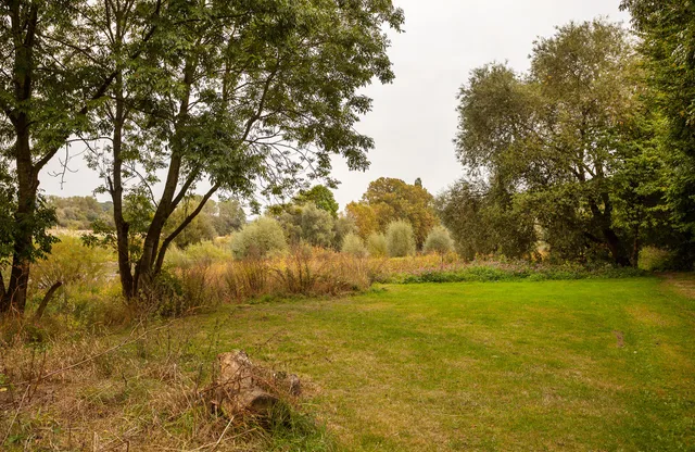 The Weser meadows at Vlotho
