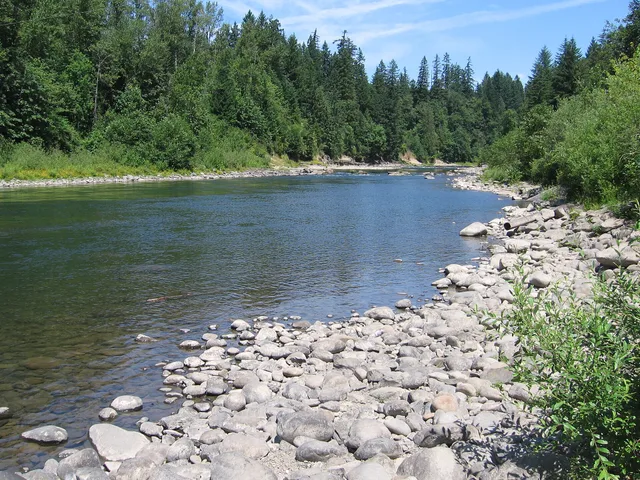 Landscape at Milo McIver State Park in Oregon