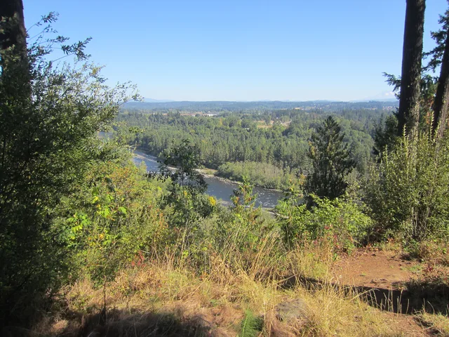 Wooded landscape at Milo McIver State Park